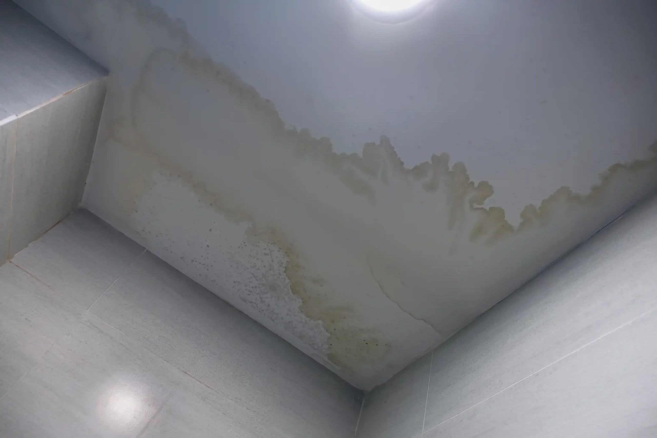 roof leaks in salado tx